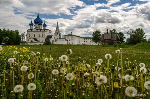 Суздаль кремль адрес