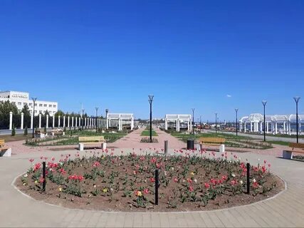Саки в реальном времени