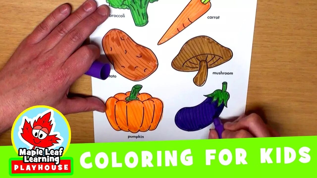 Maple leaf learning. Maple leaf learning crafts. worksheet for kids maple leaf learning. worksheets for kids maple leaf learning opposites.