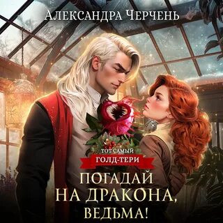 Черчень бедствие в академии драконов читать