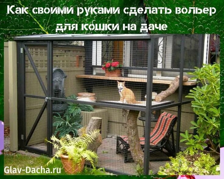 Pin on Cat Crazy Cat patio, Cat enclosure, Outdoor cat enclosure