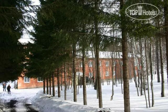 Лесная сказка санаторий Чебоксары. Лесная сказка Бердск. Санаторий Лесная сказка Саранск. Санаторий Лесная сказка Бердск. Сайт лесная сказка липецк