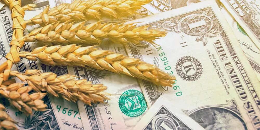 Пшеница и доллары. Сельхоз кредит. Зерновая сделка. Зерновая сделка 1920.