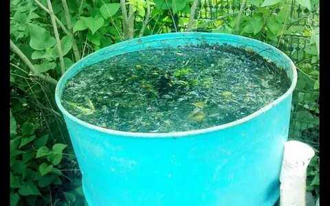 Удобрение из перепревших сорняков