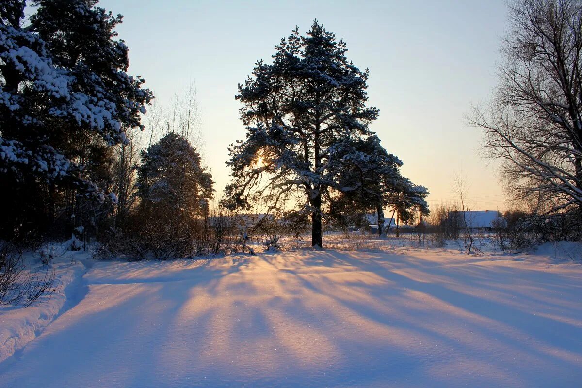 Девушка под снегом. Зима фото. Зимние песенки. Раз морозною зимой вдоль опушки лесной. Слушать песню зима морозная.