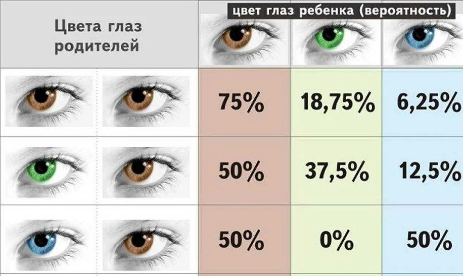 Какого цвета будут глаза у родителей. Какого цвета будут глаза у родителей