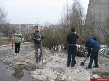 Мкр лесной