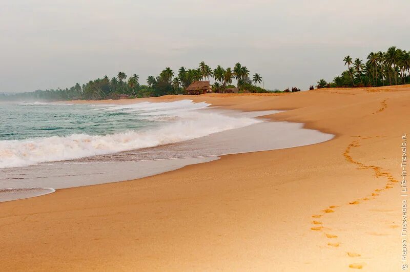 Пляж Тангалле Шри Ланка. Топлесс пляжи в Шри Ланке. Тангалле пляж март. Пляж сайлент Бич Шри Ланка.