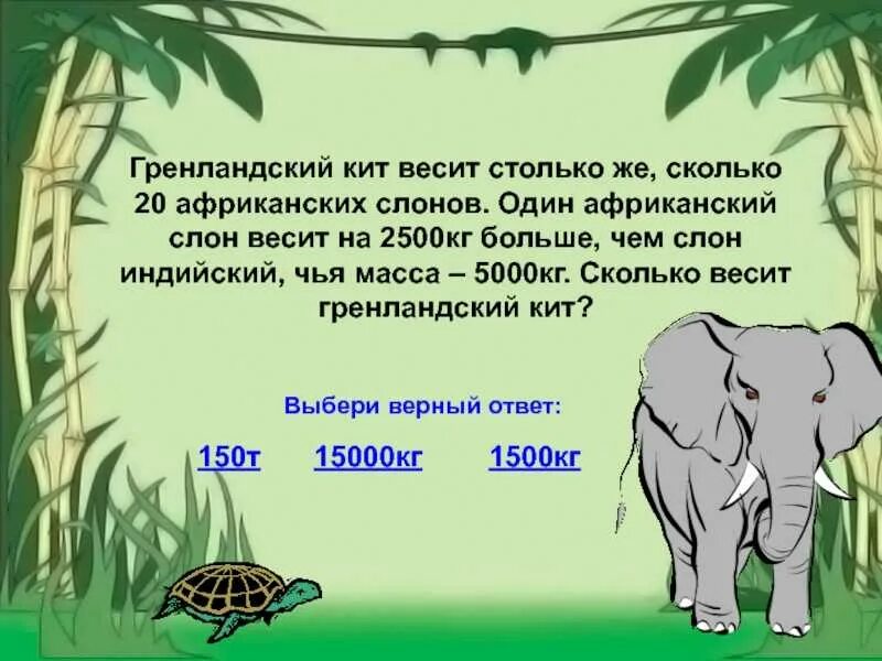 Сколько весит слон. Сколько весит Африканский слон. Вес африканского слона. Сколько весит большой слон.