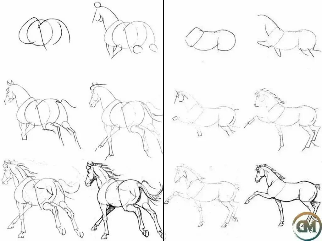 леопард рисунок карандашом. туллиус хейер. постепенно сложный. этапы рисования кошки. как нарисовать волка каран.