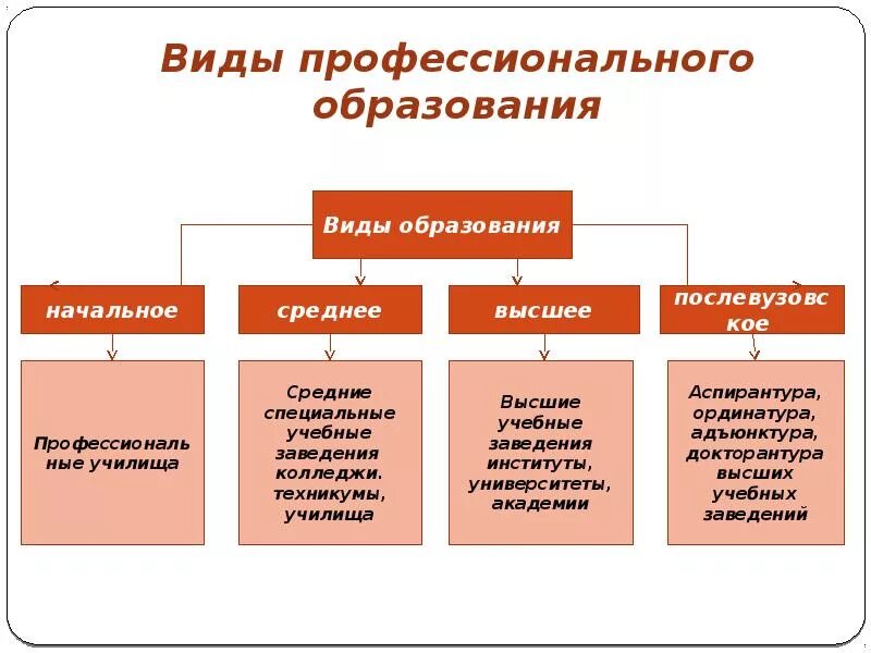 Виды образования специальное высшее