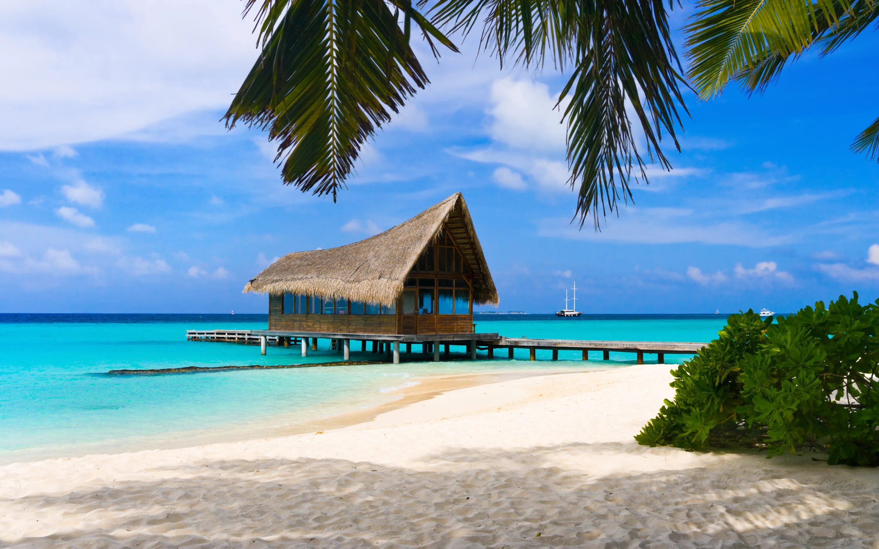 Island beach 2. Багамы бунгало. Голубая Лагуна Саона Доминикана. Мальдивы песок пальмы бунгало. Бунгало на Мальдивах.