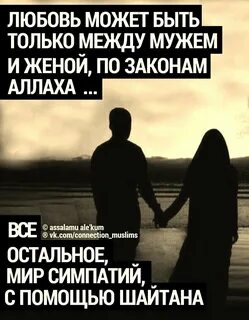 К жене отношение как к другу