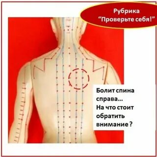 Боль в желудке отдает в спину