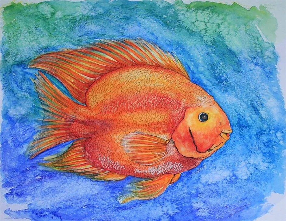 Рыбка акварельными карандашами. Рыбка рисунок. Рисование рыбы. Рыбка цветными карандашами. Рыбы рисунок 3 класс