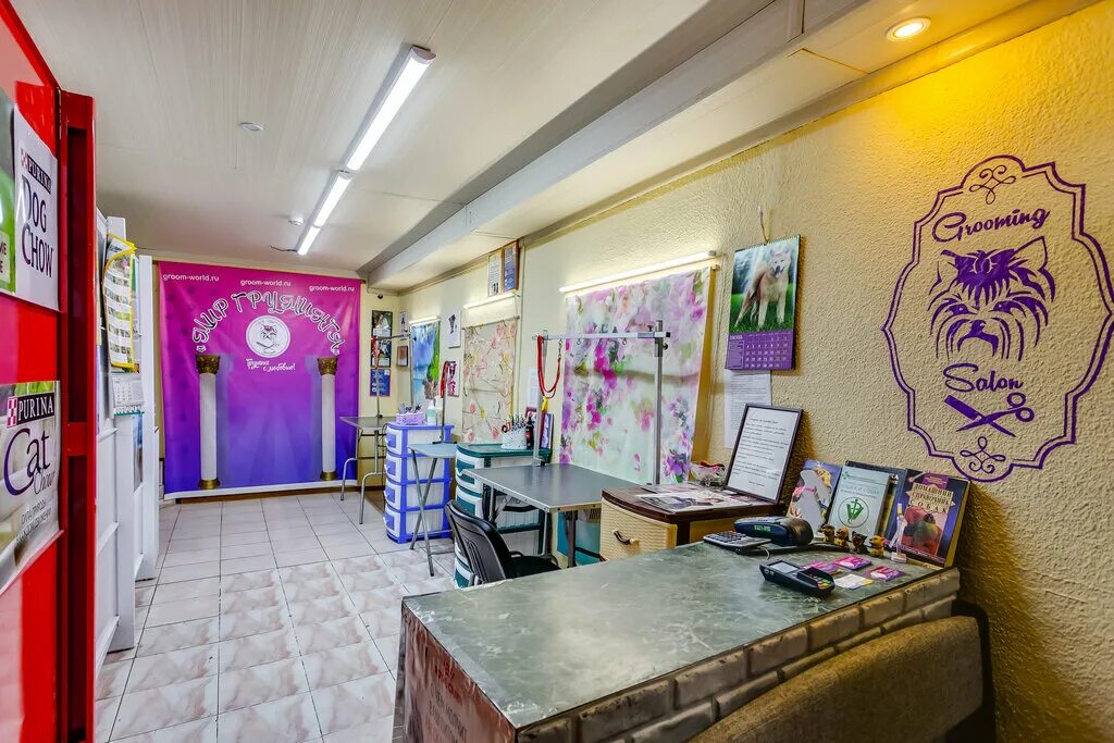 стрижка щенка цвергшнауцера. зоосалон вывеска. салон груминга интерьер. груминг вывеска. зоосалон ростов.