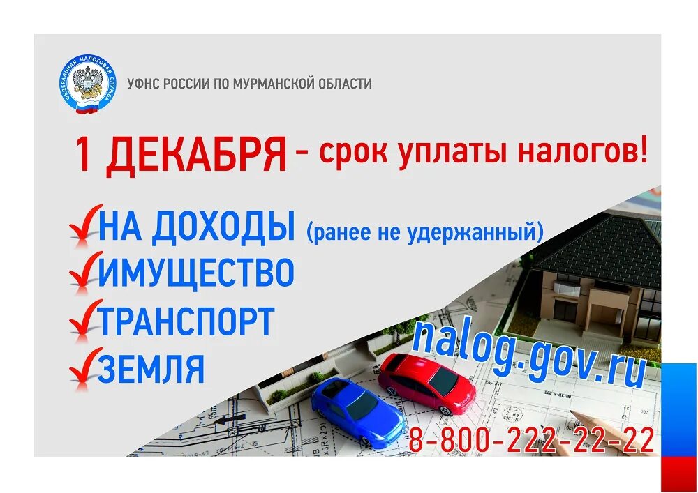 Срок уплаты налогов организации в 2025. Уплата имущественных налогов. сроки уплаты налогов. 1 декабря срок уплаты. имущественные налоги физических лиц.