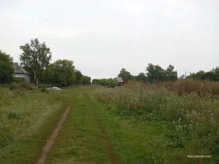 Село николаевка 2