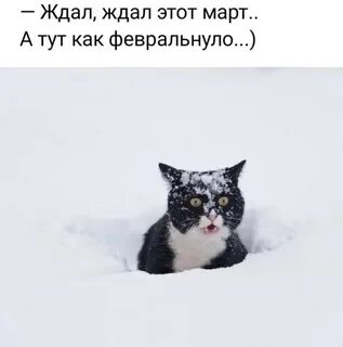 Суровый неожиданный
