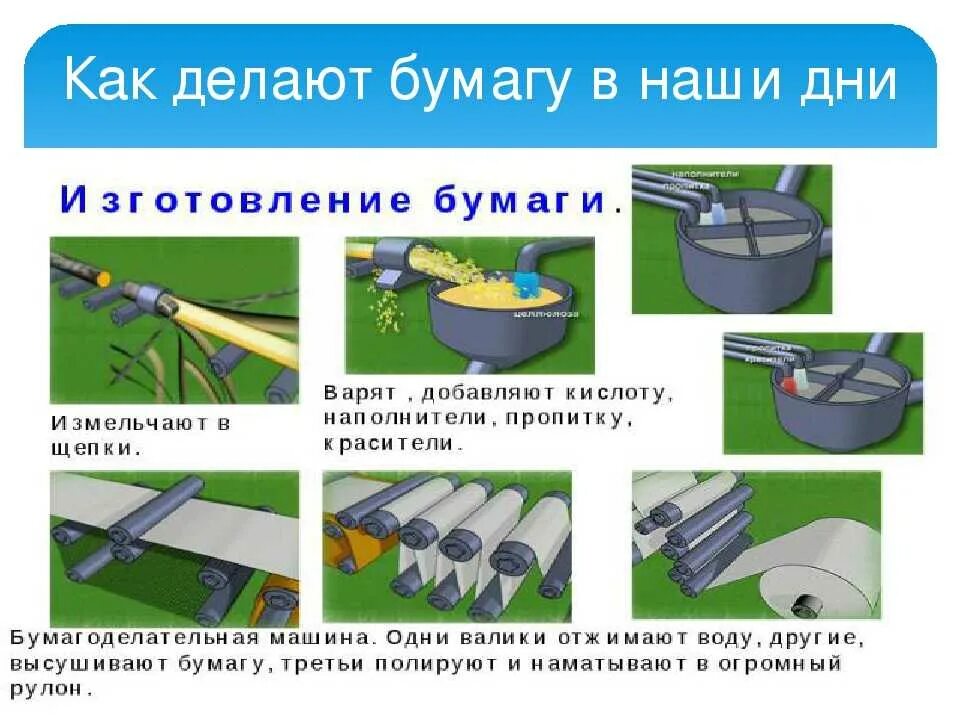 Как делается бумага схема. Как делают бумагу. Этапы производства бумаги. Производство бумаги из древесины.