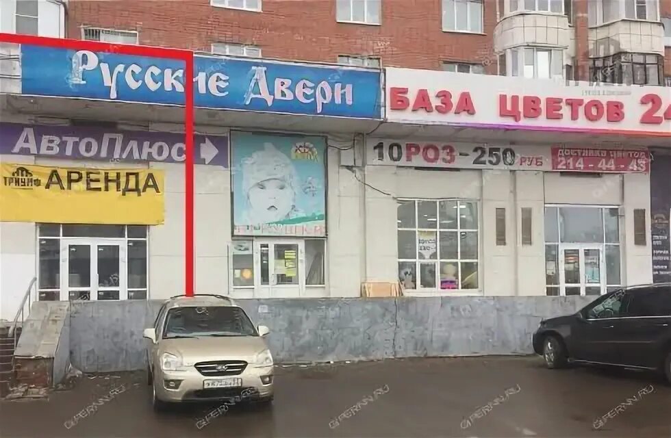 Химчистка автозаводский район нижний. Автозаводский район Плотникова. База цветов 24 Нижний Новгород Автозаводский район. Нижний Новгород Автозаводский район улица Плотникова ,4. Автозаводский район Плотникова 2.