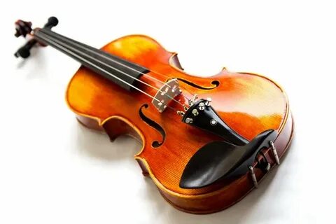 Violin picture