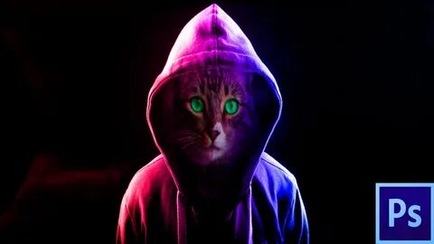 Кот хак