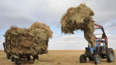 Минет секс әйелі