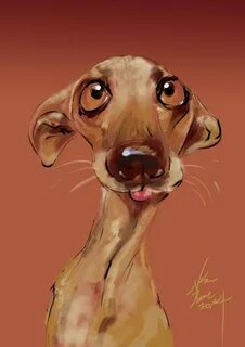 Рисунок смешная собака - 72 фото