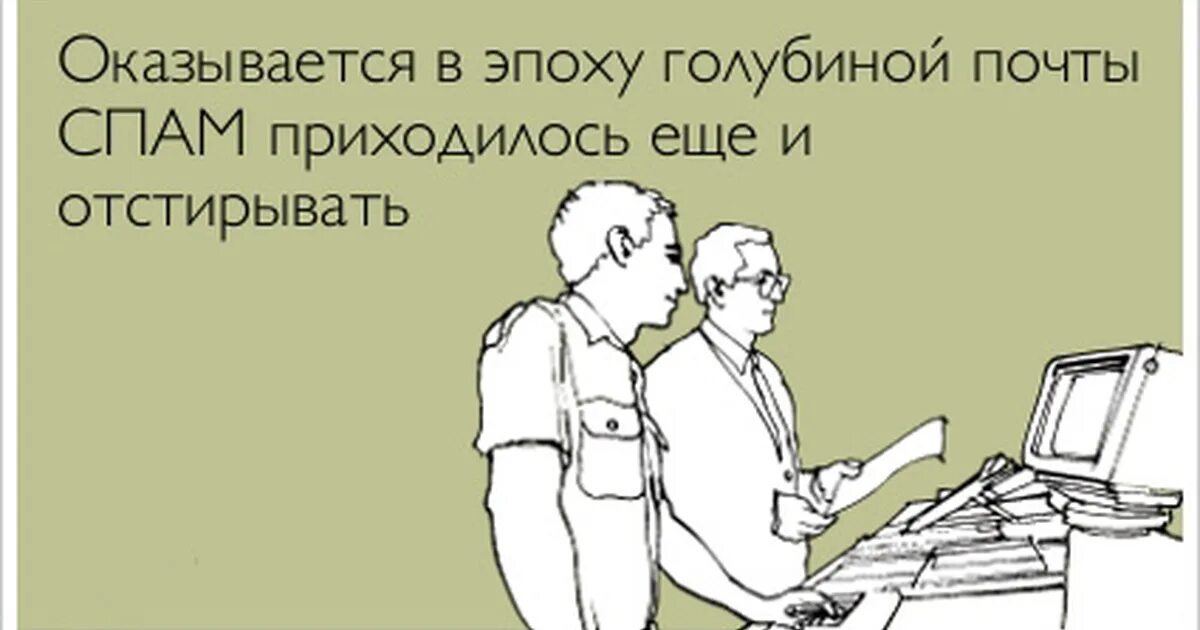 Что такое постит. Бухгалтер прикол. Шутки про сотрудников. Вы акула пера нет дятел.