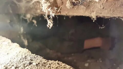Нашли в полу золото