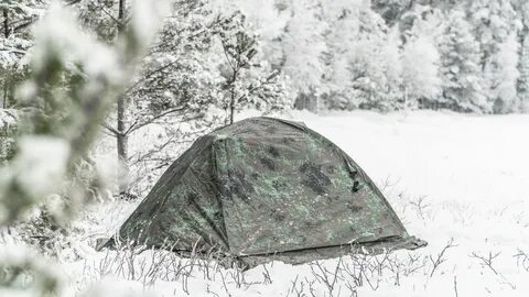 Forest pro