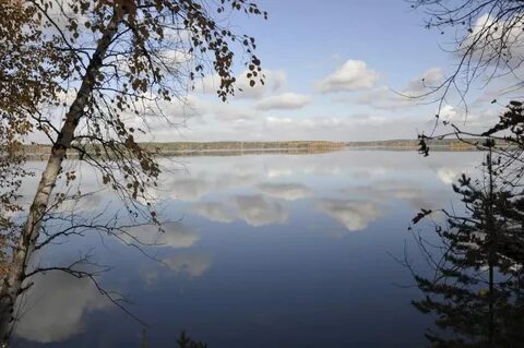 Характеристика сорта еланчик