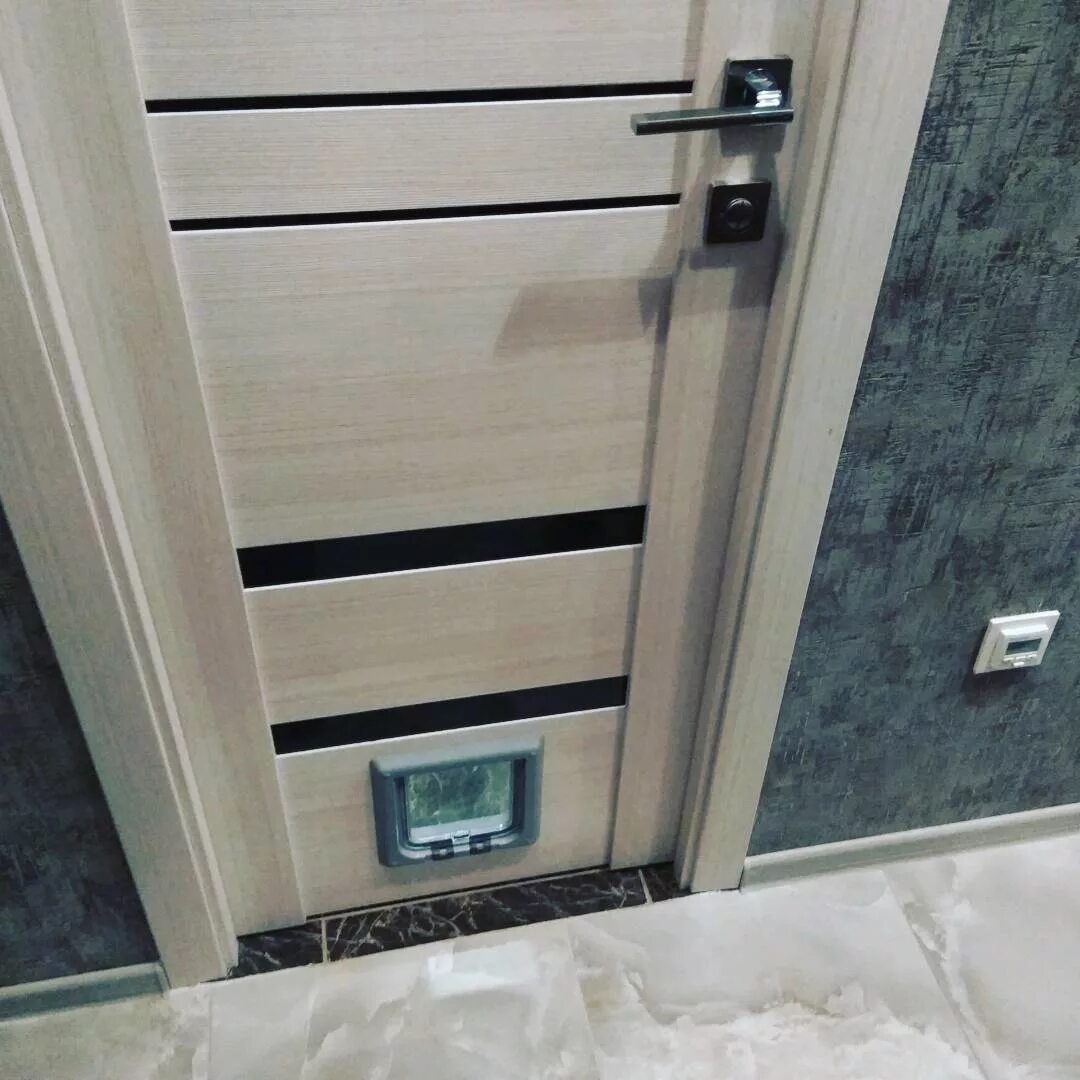 дверь с дверцей для кошки входная. дверца для кошек в дверь. дверь с дверцей для кошки межкомнатная. двери для кошек в межкомнатные двери. дверца для кошек в дверь.