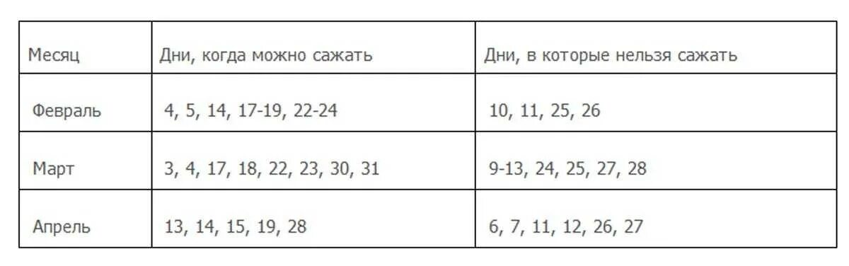 Дни посева огурцов в апреле 2025 года. Календарь посадки дыни. благоприятные дни для пересадки баклажанов в марте 2025. благоприятные дни для посадки в марте баклажан 2025. благоприятные дни для посадки арбузов и дынь.