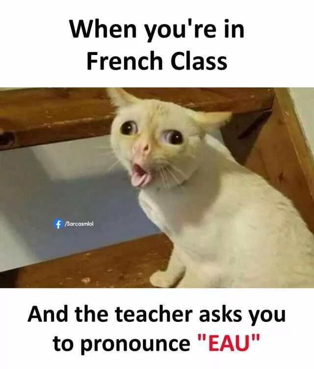 When i had asked and you