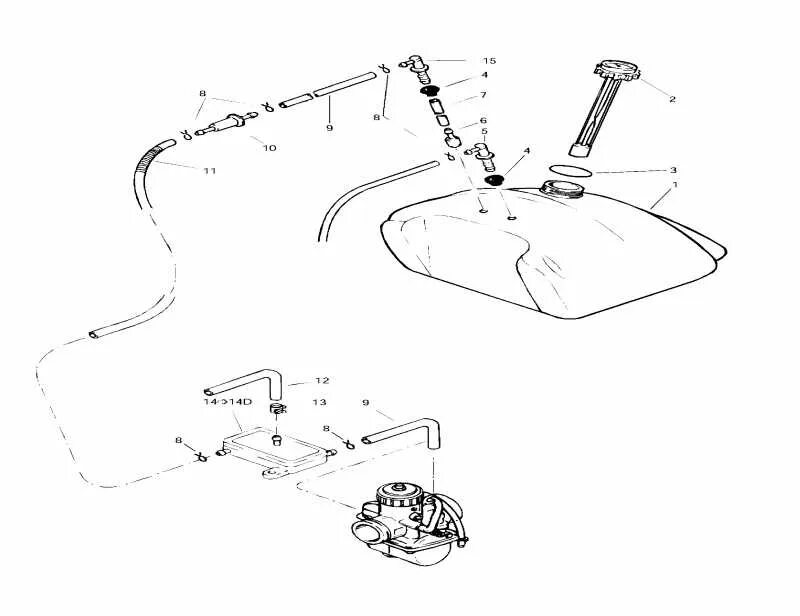 Схема топливная снегохода тайга 500. Тайга презентация. Система тайга. Подлесок тайги. Заповедник енисейской тайги.