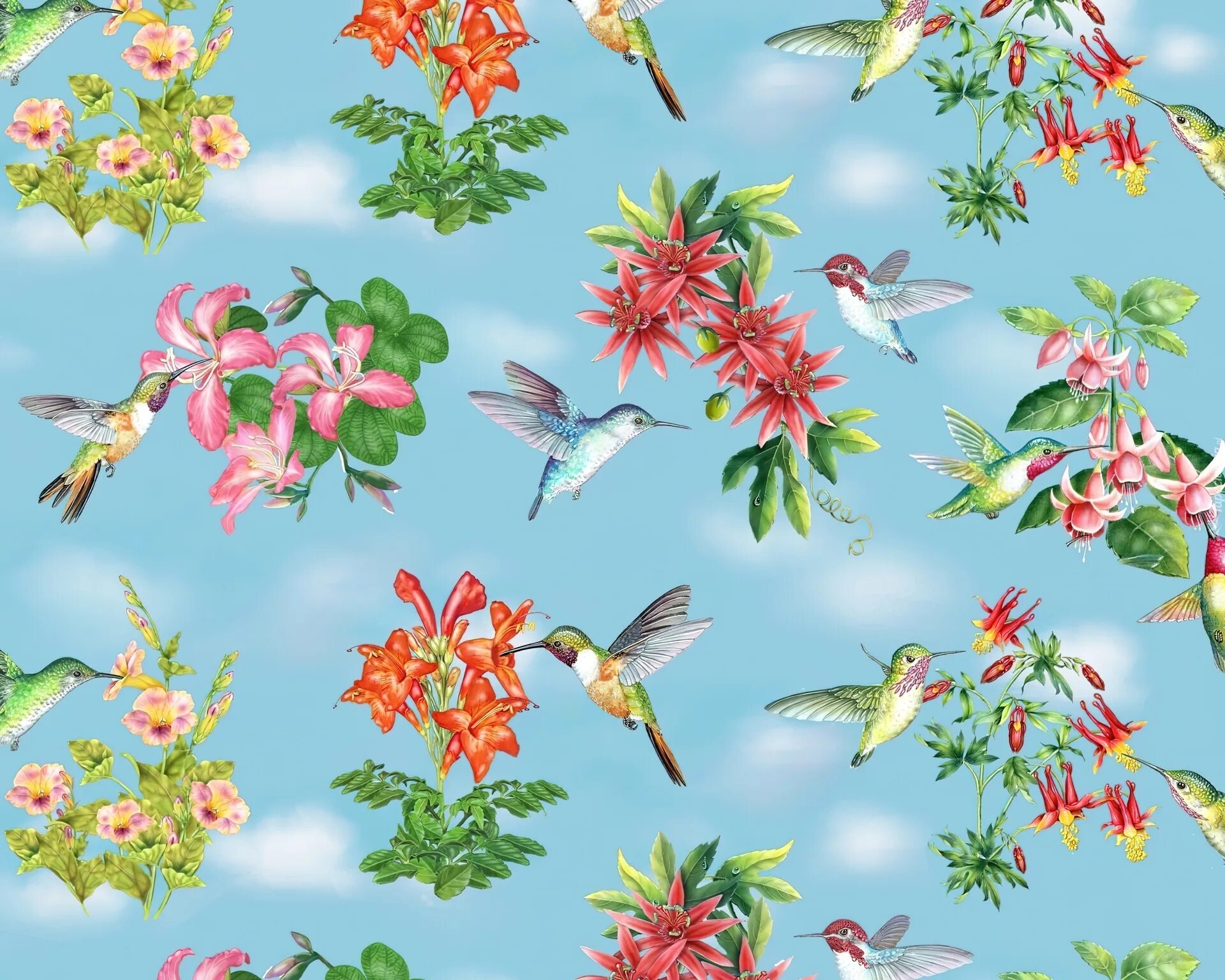 Паттерн цветы и птицы. Цветочный паттерн с птицами. Паттерн птички и цветы. Принты цветы.