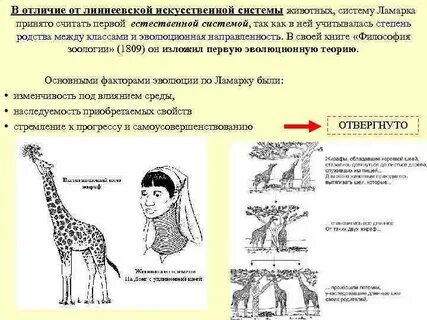 Система животных искусственная система