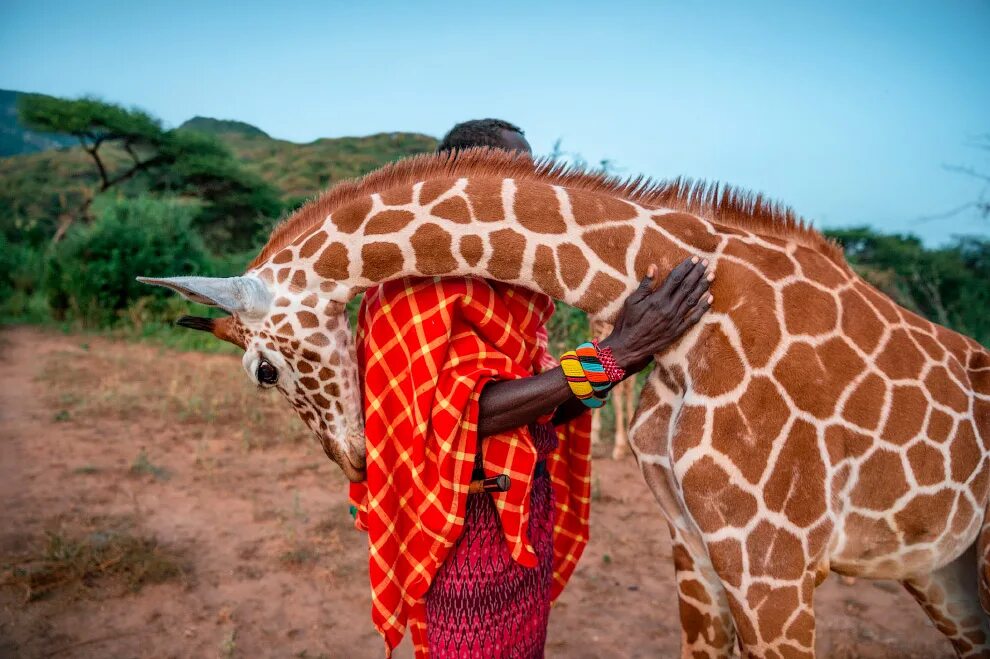 Победители фотоконкурса national geographic 2020. Лучшая фотография 2019. Племя самбуру африка кения. Необычные фотографии. Лучшая фотография 2019.