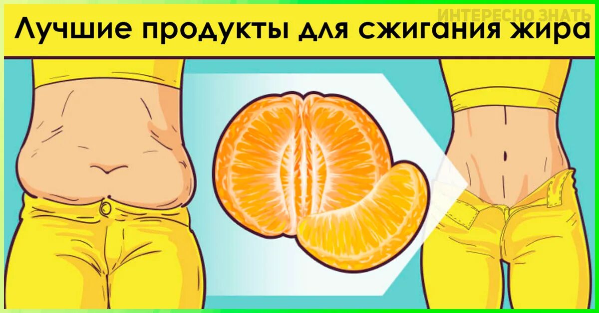 Какой фрукт сжигает жир на животе. Продукты для жиросжигания. что сжигает жир. фрукты для сжигания жира на животе и боках. овощи для похудения сжигающие жир с живота.