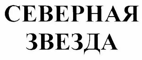 Зао северный. Зао зк северная. Зао северный. Северная чернь логотип. Завод северная чернь в великом устюге.