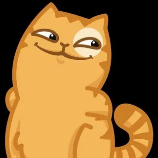 Котик персик