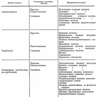 Вспомогательные железы женские название