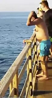 Русский турист египет акула