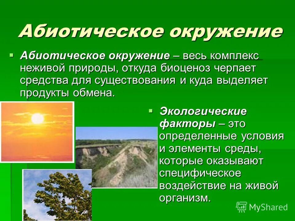 какие факторы относятся к абиотическим факторам. абиотические факторы это факторы. лес абиотические факторы. какой из факторов абиотический вырубка лесов. осушение болот абиотический фактор.