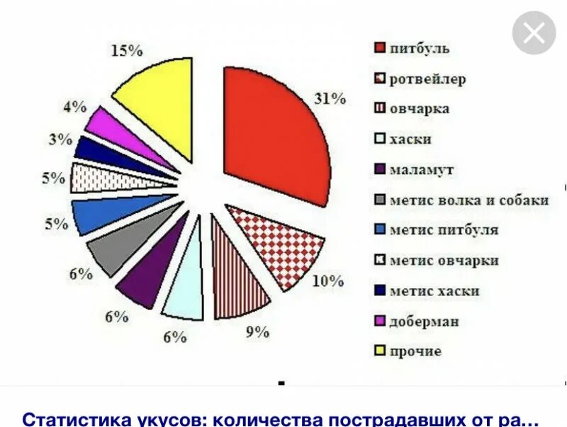 Статистика нападений собак