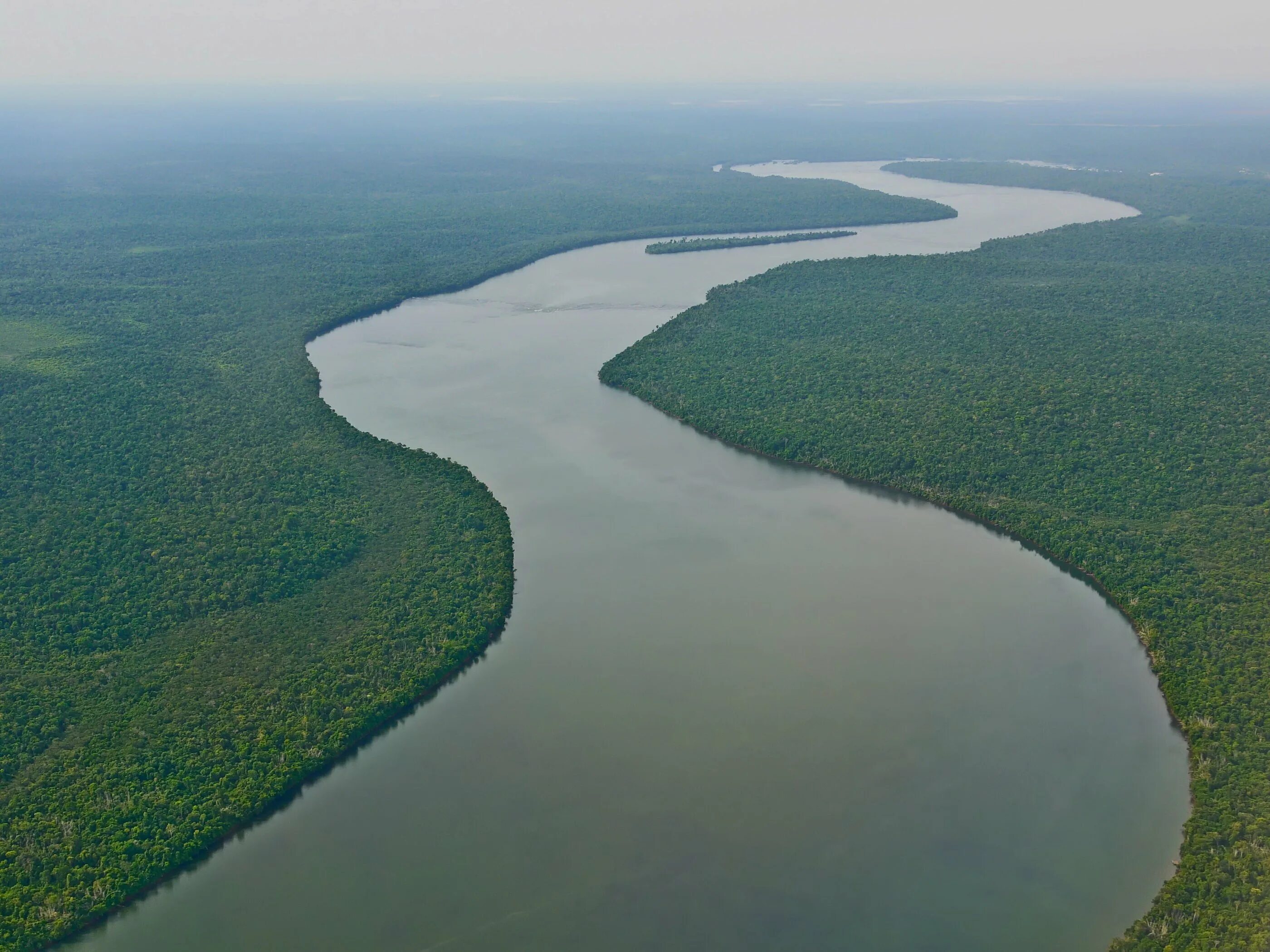 Самая длинная река в россии полностью протекающая. Исток реки Амазонка. Самая полноводная река Амазонка. Река Амазонка и Рио Негро. Устье реки Амазонка.