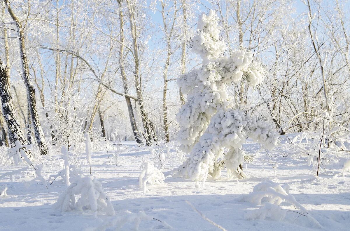 снег идет. снежок в начале мая. иней и изморозь. в подмосковье грядут аномальные холода. песня на улице снежок морозец.
