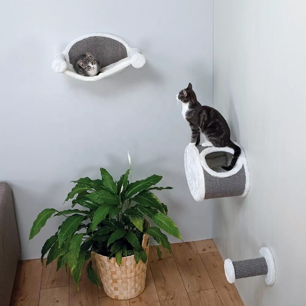 Купить кошку на стене. Полка для кошки. Домики для котов. Настенные полочки для кошек. Навесные домики для кошек.